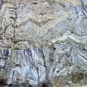 Meet your Posher, Devin